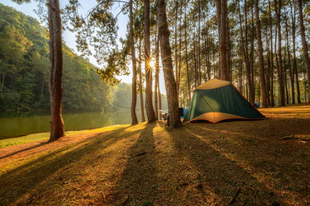Camping tent in forest