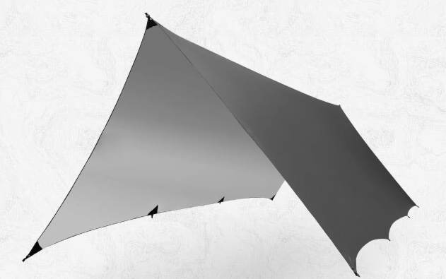 Tarp